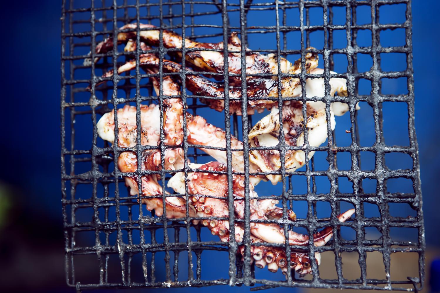 Octopus barbecue, Essaouira 
