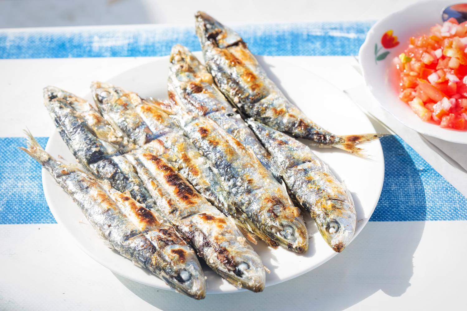 Sardines, Morocco 